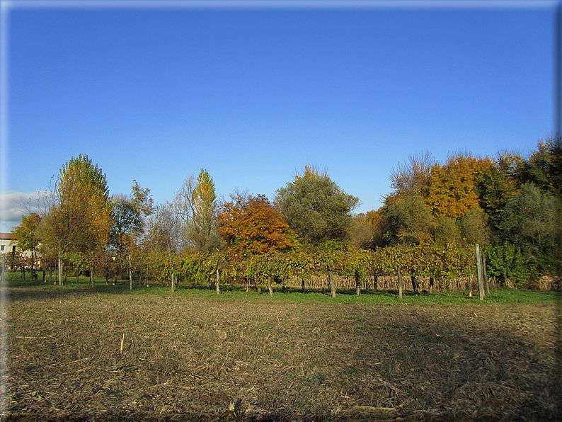 foto Paesaggi Autunnali tra le colline Fontesi